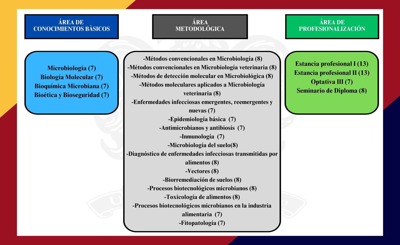 Estructura por Áreas